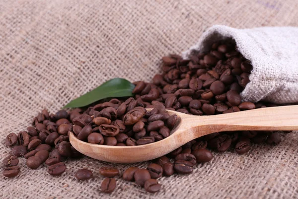 Coffee beans on sacking background — Stock Photo, Image