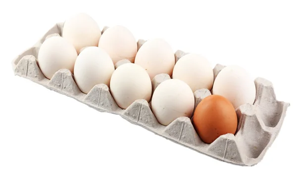 Different eggs in carton pack isolated on white — Stock Photo, Image