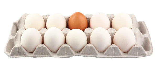 Different eggs in carton pack isolated on white — Stock Photo, Image