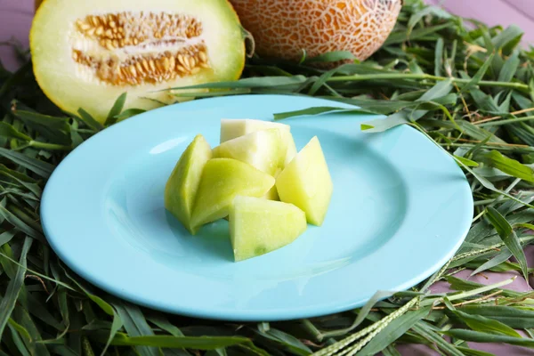 Melonenscheiben auf blauem Teller auf frischem Gras Hintergrund — Stockfoto