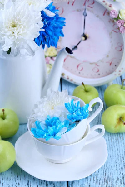 Složení bílé a modré chryzantémy detail — Stock fotografie