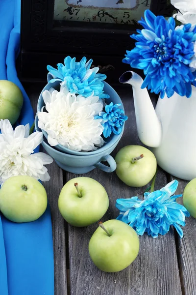 Sammansättningen av vita och blå-krysantemum närbild — Stockfoto