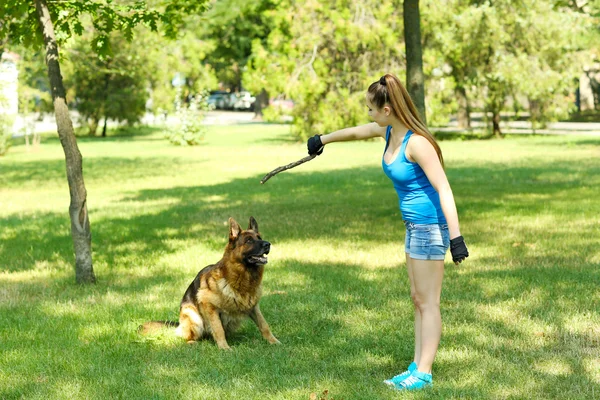 Beautiful young girl with dog in park — Stock Photo, Image