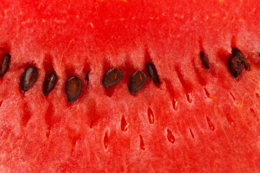 Watermelon background clipart