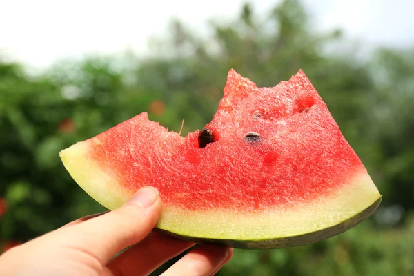 Fatia fresca de melancia na mão no fundo da natureza — Fotografia de Stock