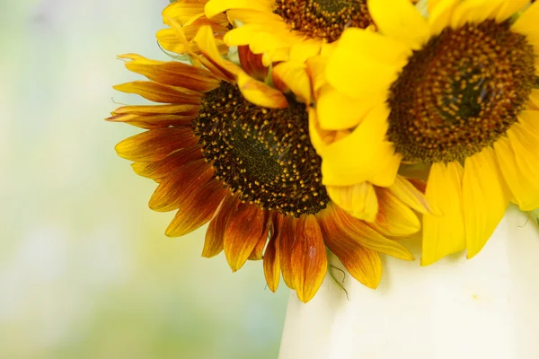Beautiful sunflowers in pitcher on bright background — Stock Photo, Image