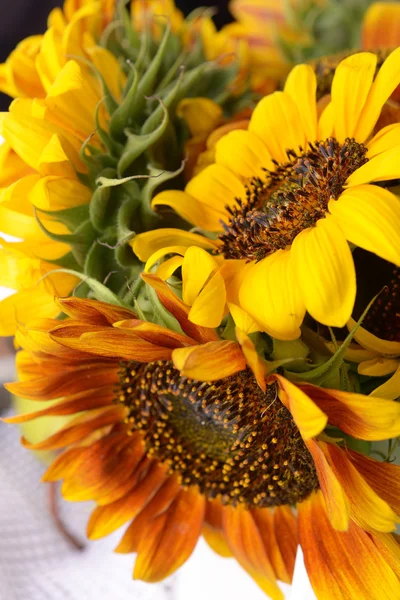 Mooie zonnebloemen close-up — Stockfoto