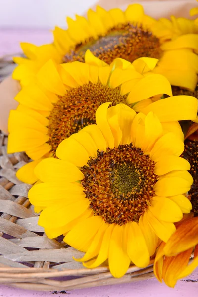 Beautiful sunflowers on wicker stand close up — Stock Photo, Image