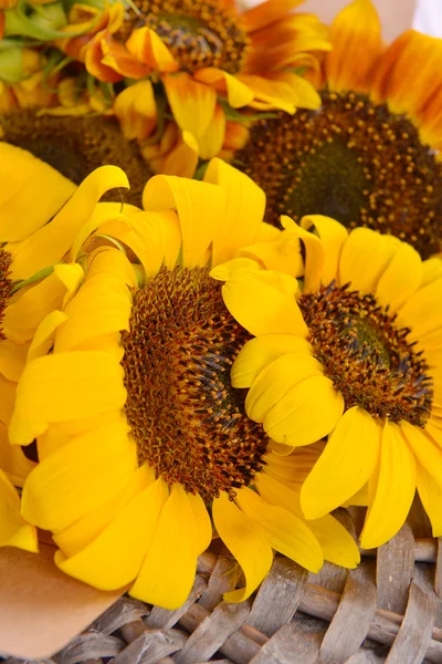 Mooie zonnebloemen op rieten staan close-up — Stockfoto