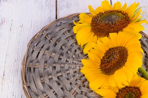 Schöne Sonnenblumen auf Korbständer auf dem Tisch aus nächster Nähe — Stockfoto