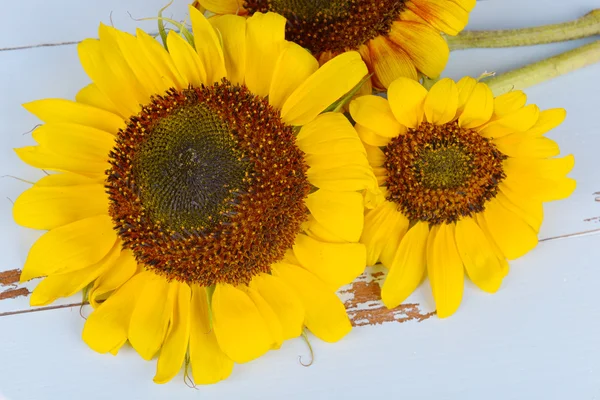 Beautiful sunflowers on wooden background — Stock Photo, Image