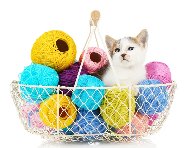 Mignon petit chaton dans le panier avec fil isolé sur blanc — Photo