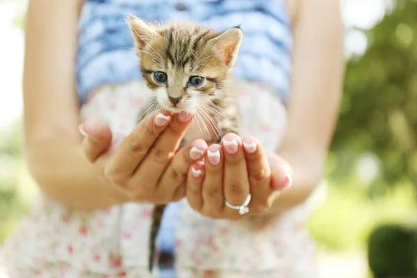 Niedliche kleine Kätzchen in den Händen im Freien — Stockfoto