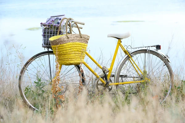 Cykel med korg med blommor i ängen under solnedgången — Stockfoto