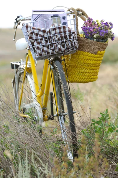 Bicicleta no prado do por do sol — Fotografia de Stock