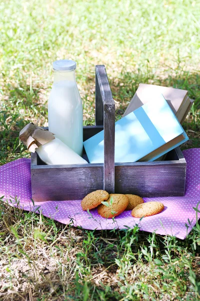 Välsmakande mellanmål i korg på gräsbevuxen bakgrund för trevlig helg i en park — Stockfoto