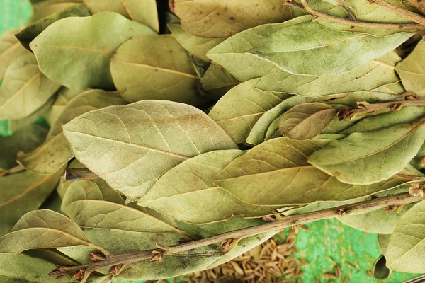 Bay leaves and seeds on green wooden background — Stock Photo, Image