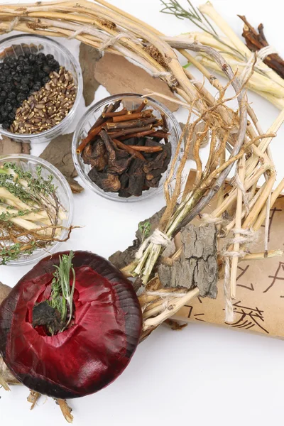 Ingredientes tradicionais de ervas chinesas com hieróglifos não reais, close-up — Fotografia de Stock