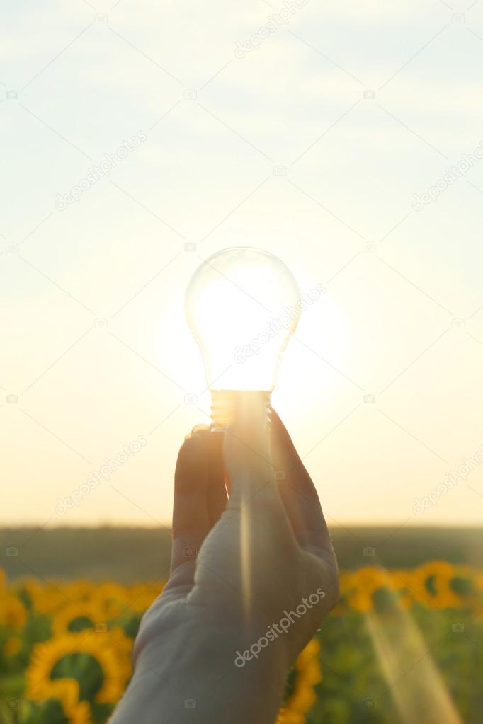 Light bulb with sunshine inside in field. Environment, eco technology and solar energy concept.