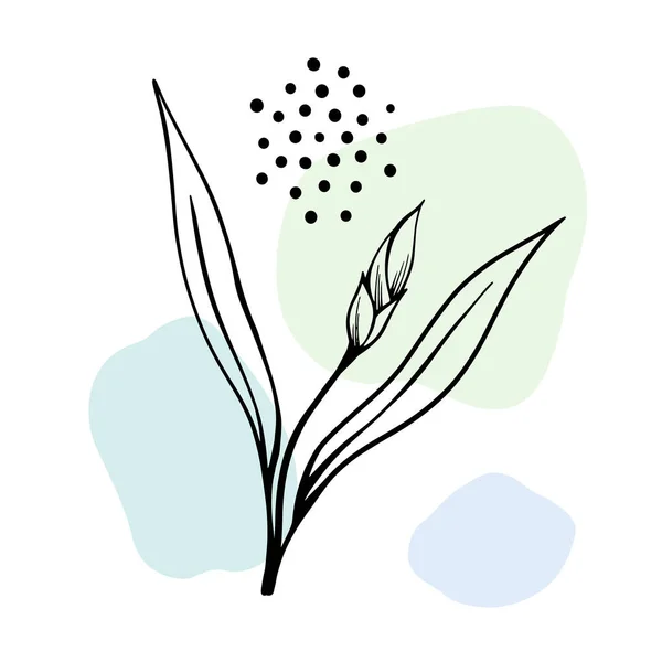 Квітковий Набір Абстрактними Квітами Листям Елемент Дизайну Рука Намальована Лінія — стоковий вектор