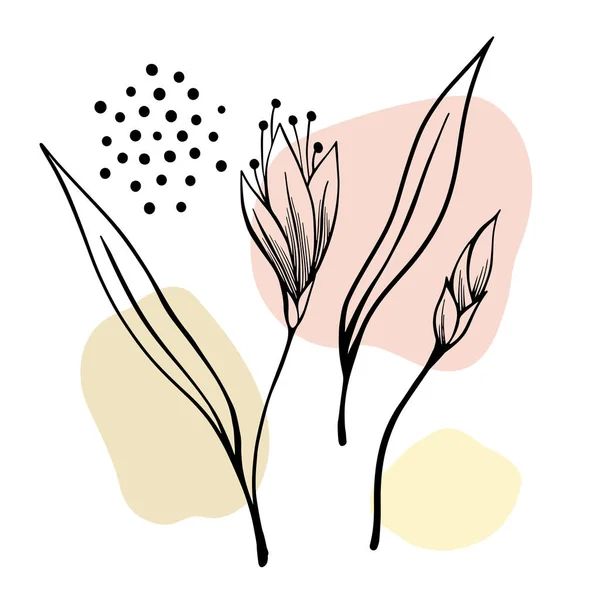 以花卉和树叶为设计元素的花卉集 手绘线条草图 白色上漂亮的矢量背景 — 图库矢量图片