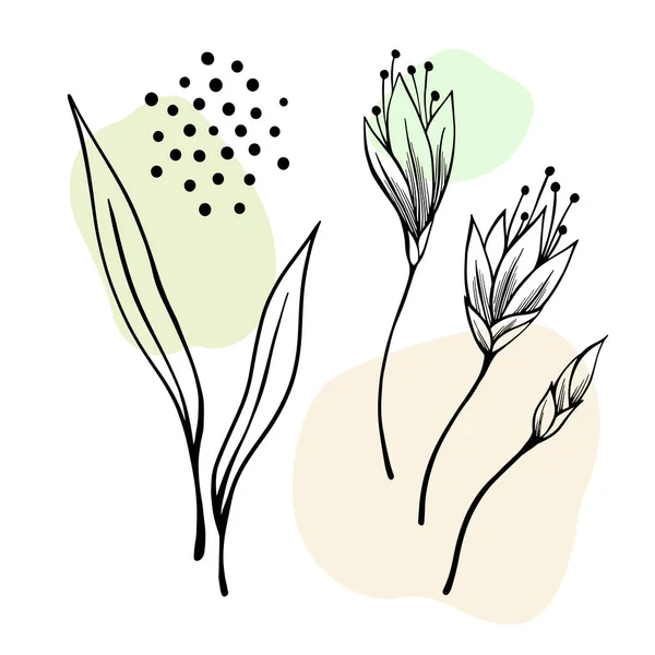 花は抽象的な花や葉をデザイン要素としてセットします 手描きの線画 白いベクトルの背景 — ストックベクタ