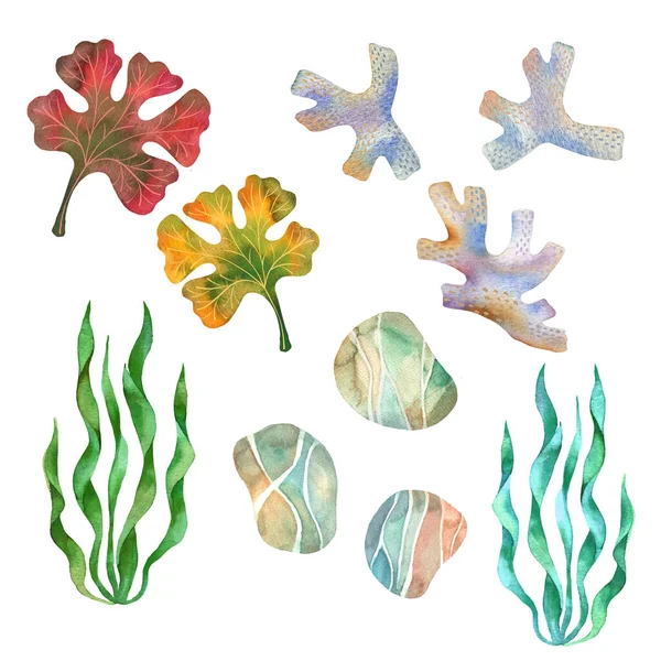 Set Sea Pebbles Corals Seaweeds Watercolour Sea Stones Colourful Sea — ストック写真