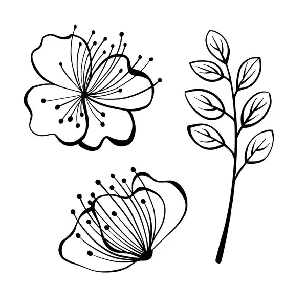 一套抽象的花朵和树叶手绘素描风格 线条艺术 水墨画 黑白植物学元素 与白种人隔离 — 图库矢量图片