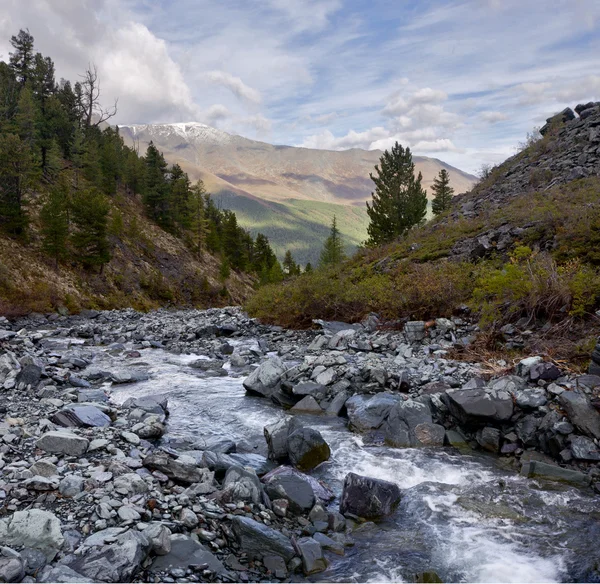 Petit ruisseau dans les montagnes de l'Altaï — Photo