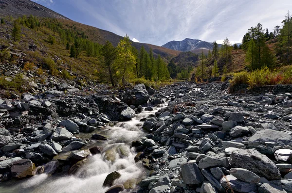 Fluxo nas montanhas de Altai — Fotografia de Stock