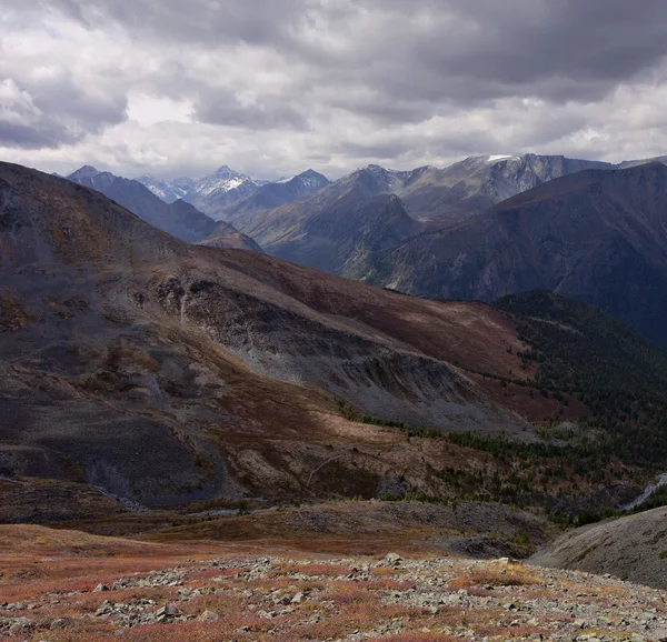 Montagnes de l'Altaï — Photo