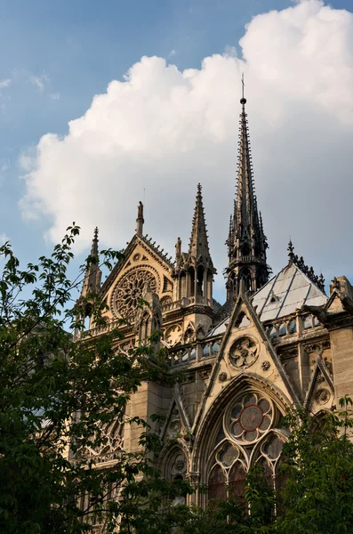 Notre dame de paris — Stock fotografie