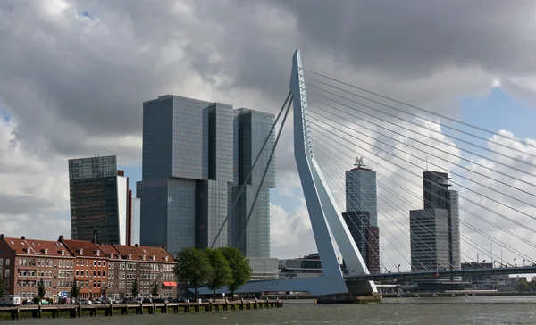 Erasmus bridge and skyscrapers of Rotterdam — Stock Photo, Image