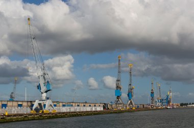 rotterdam liman liman Vinçler