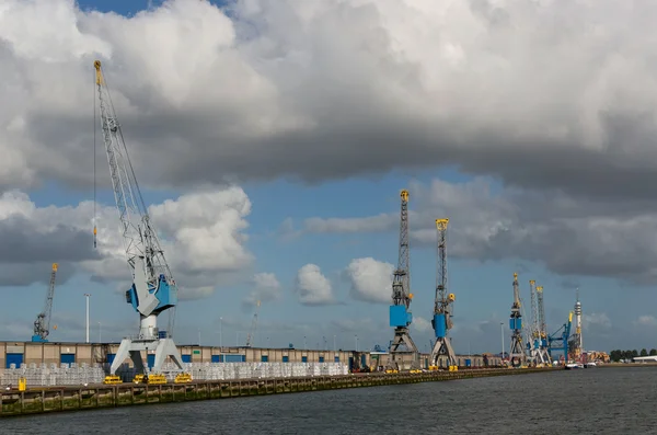 Grues portuaires dans le port de Rotterdam — Photo