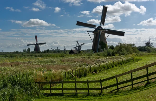 Szélmalmok Kinderdijk Jogdíjmentes Stock Fotók