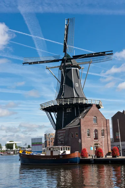 Moinho de vento em Haarlem — Fotografia de Stock