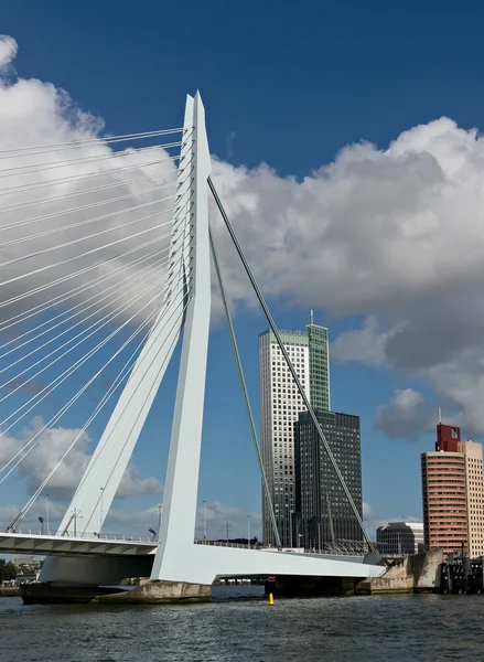 Ponte Erasmus e grattacieli di Rotterdam — Foto Stock