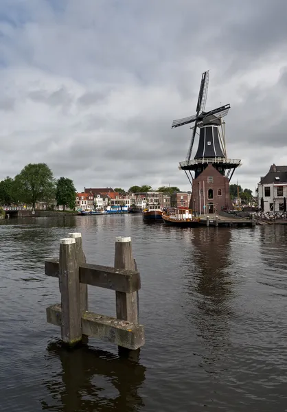 Haarlem yel değirmeni — Stok fotoğraf