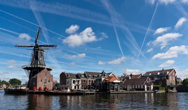 Väderkvarn i haarlem — Stockfoto