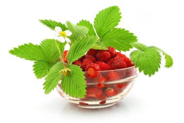 Beyaz arka plan üzerinde izole bazı taze çilek