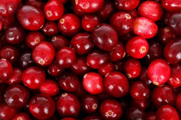 Makro closeup dari buah merah dalam tumpukan besar — Stok Foto