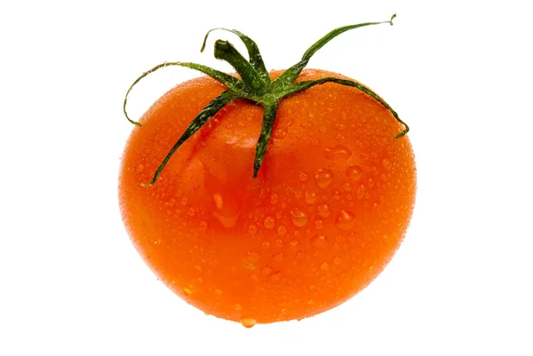 Fresh tomatoes isolated on white — Stock Photo, Image