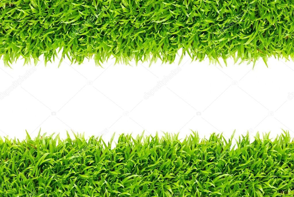 Frame of lawn grass