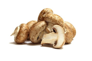 taze petrol, kahverengi versiyonu, beyaz zemin üzerine izole