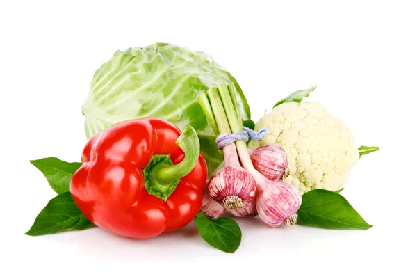 Légumes isolés sur fond blanc — Photo