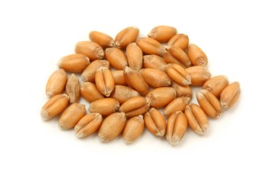 Beyaz arka planda izole tahıl koleksiyonu