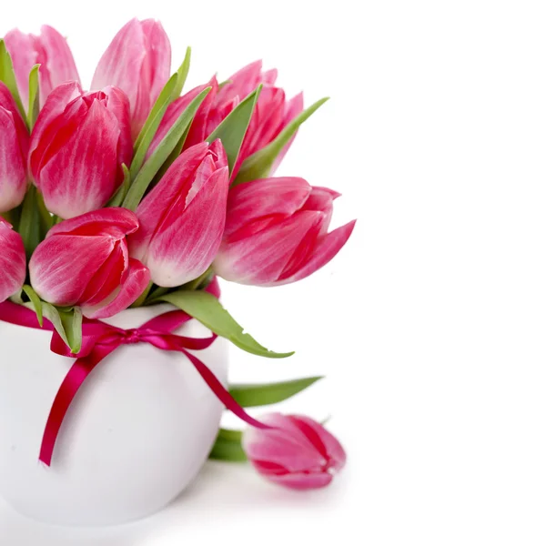 Beautiful tulips — Stock Photo, Image