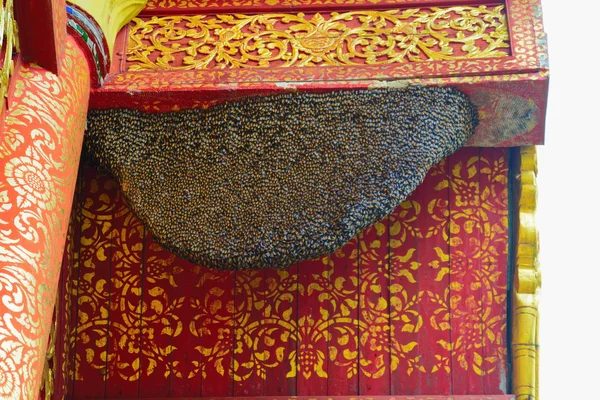 Bee nest at wooden temple — Stock Photo, Image