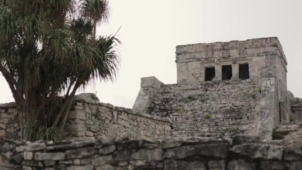 Tulum Mayan Ruins Yucatan Mexico — Stock video